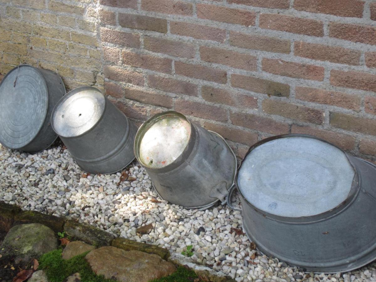 B&B De Gouden Vlo Donkerbroek Esterno foto